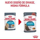 Royal Canin Urinary Care Adult Saqueta em molho para gatos, , large image number null